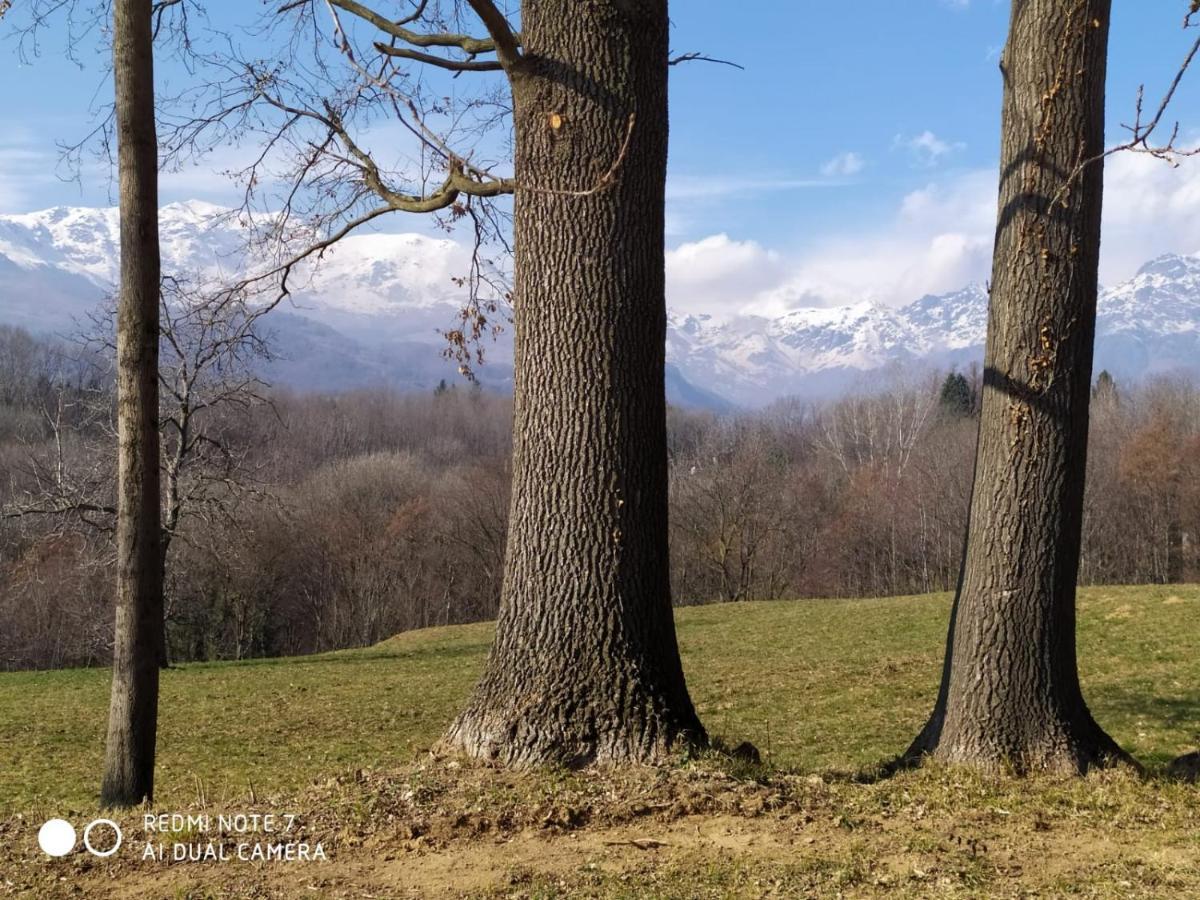 Cascina Serra Eco-House Beb Muzzano エクステリア 写真